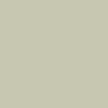Декоративная краска САФАРИ (SAFARI) Tambour Сафари Натур (Safari Natur) 4,5 кг. 0674P SW (Good Green Tea)